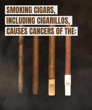 Smoking cigars, including cigarillos causes cancer of the: